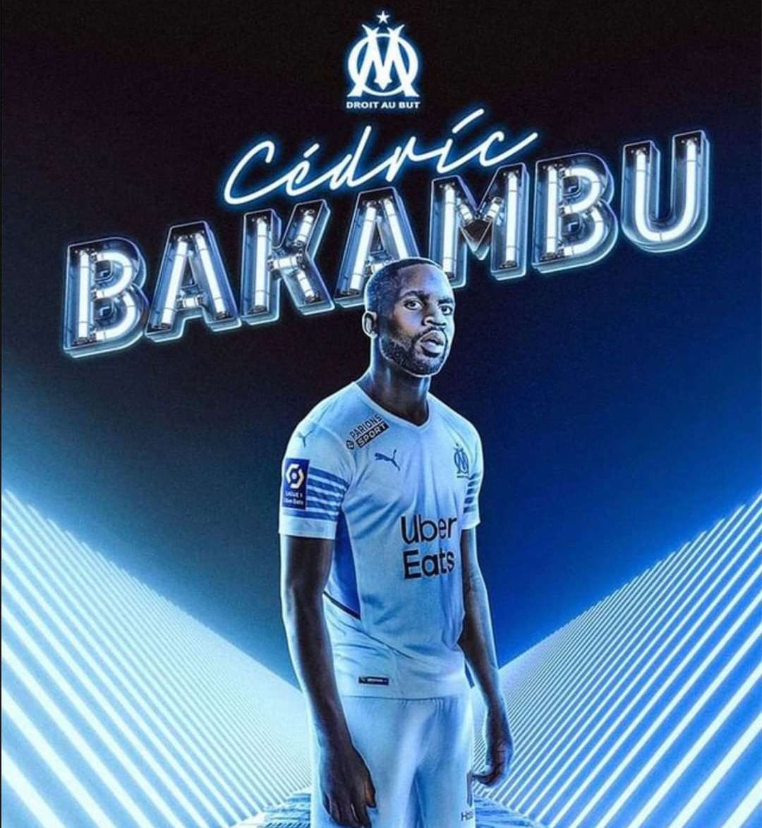 贡献全年稳 贡献全年稳